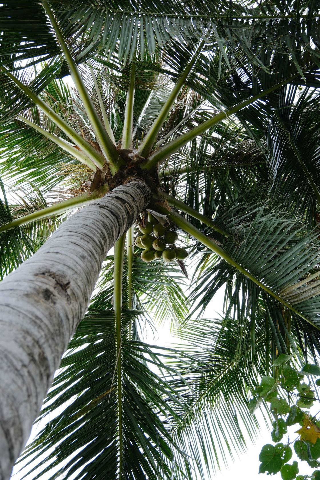 Indian Ocean beach